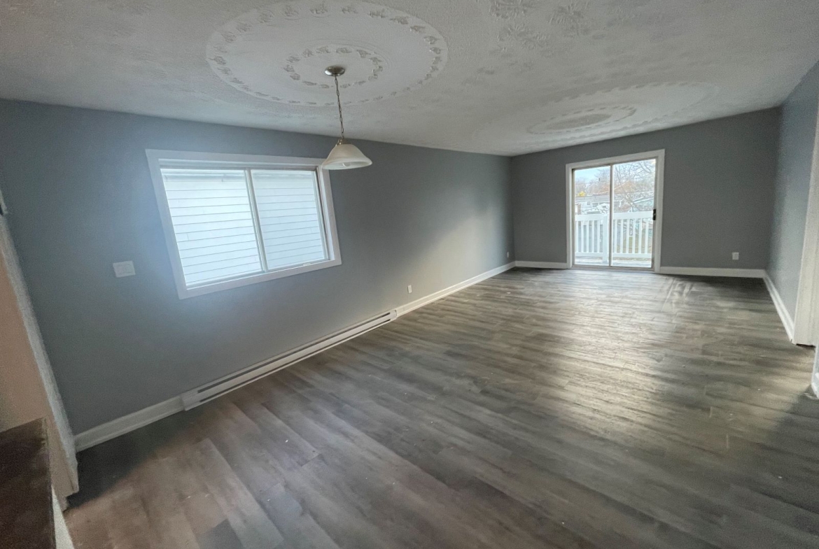 1029 Larin