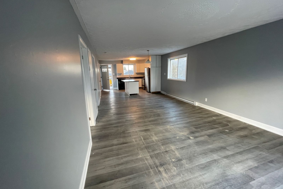 1029 Larin
