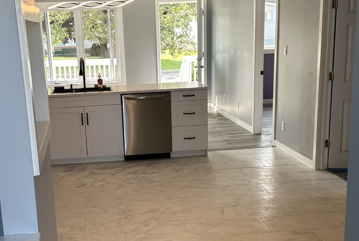 1027 Larin